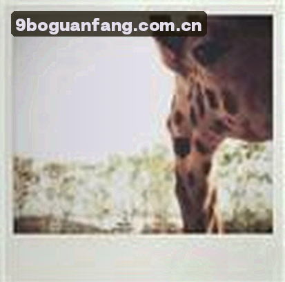 张明